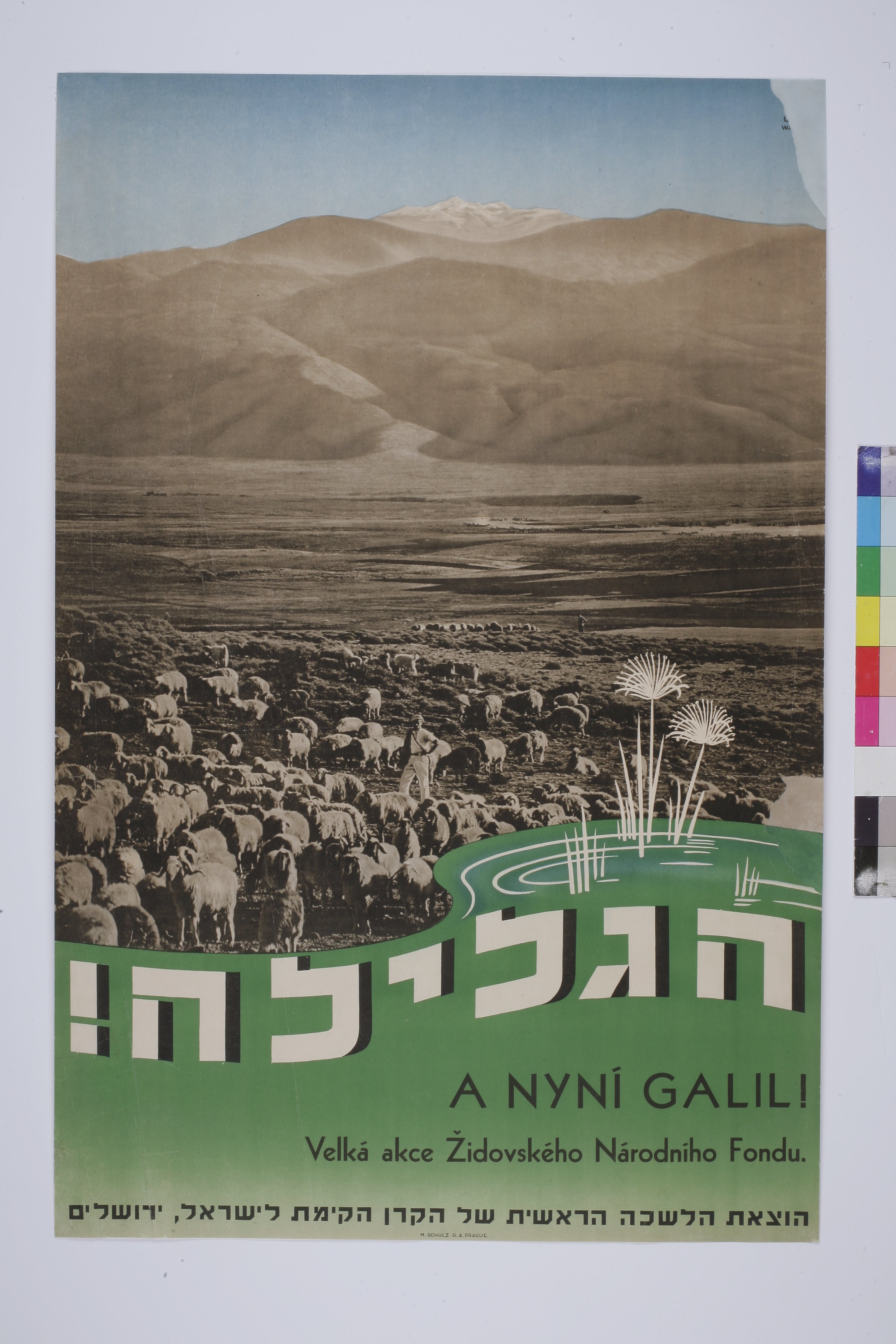 הגלילה. A nyni Galili : velka akce zidovskeho narodniho fondu