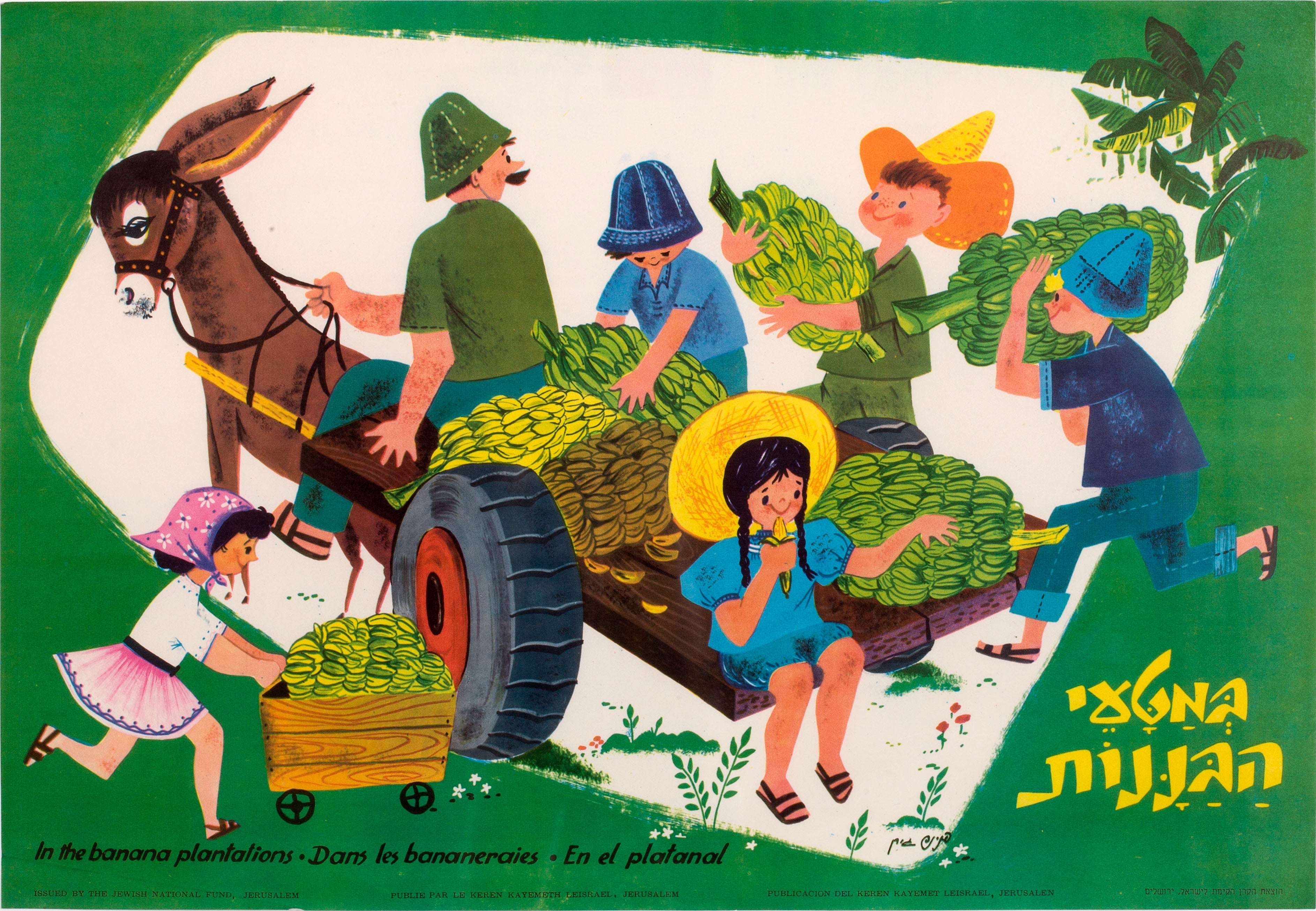 במטעי הבננות
