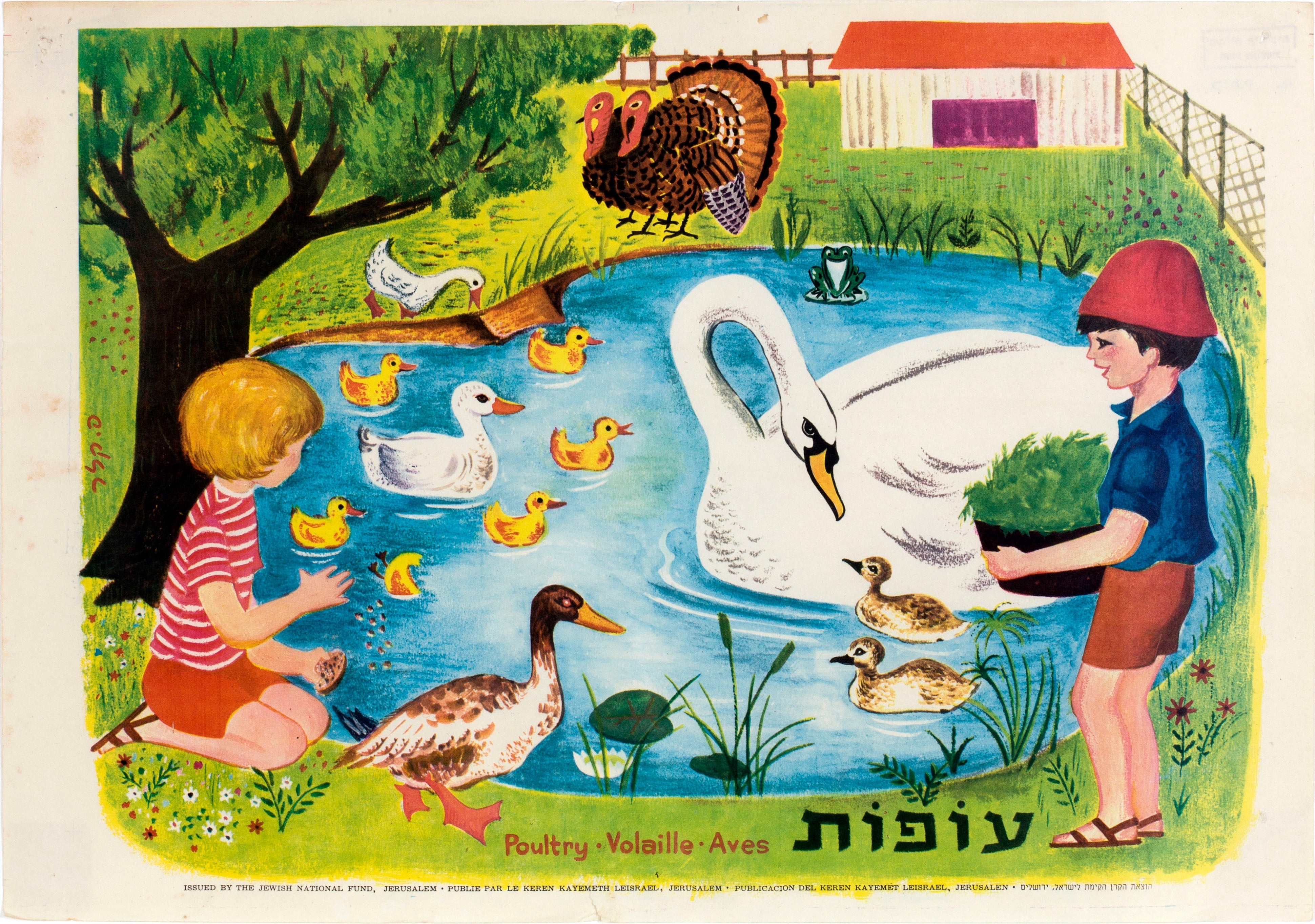 עופות