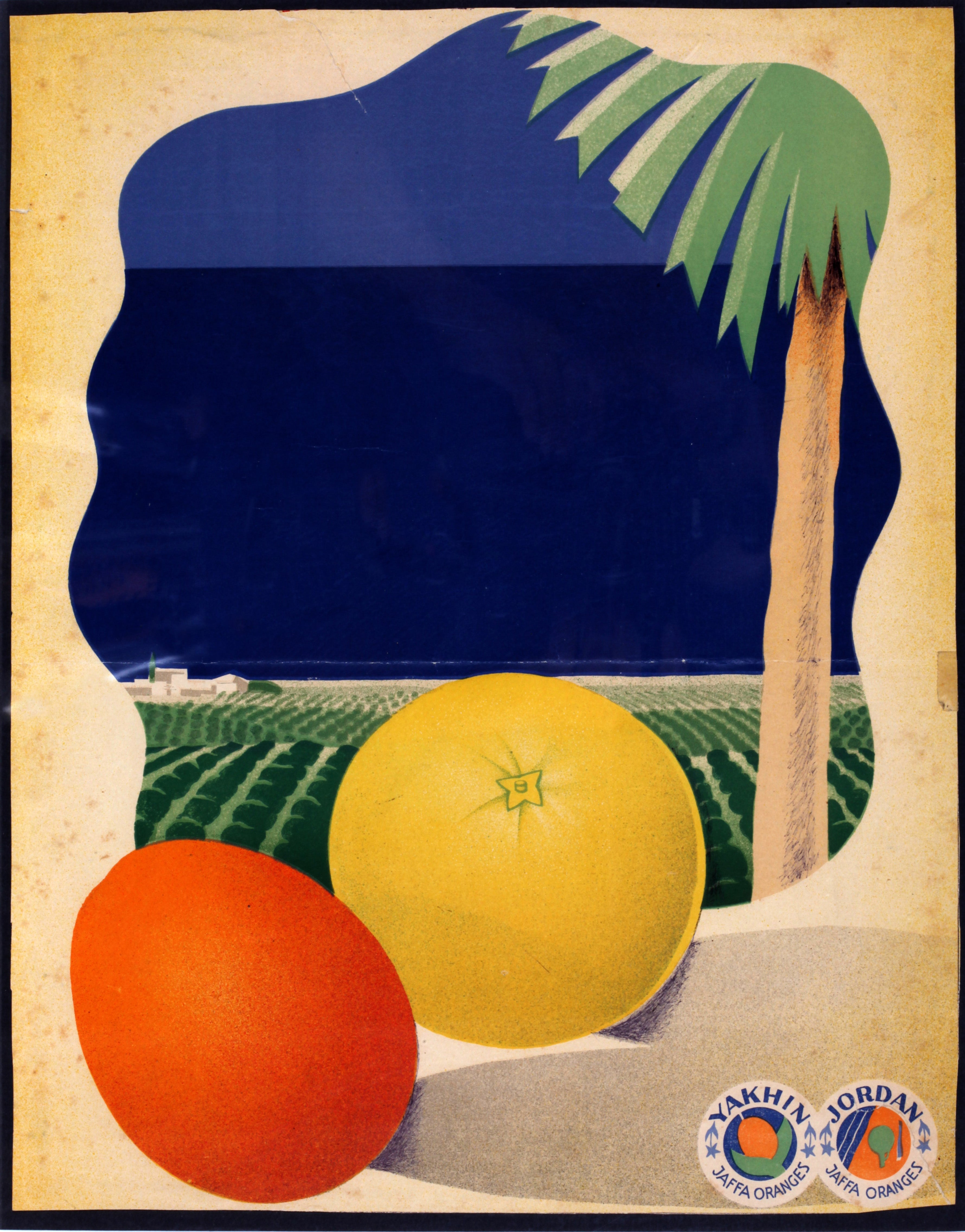 Yakhin Jordan - Jaffa oranges