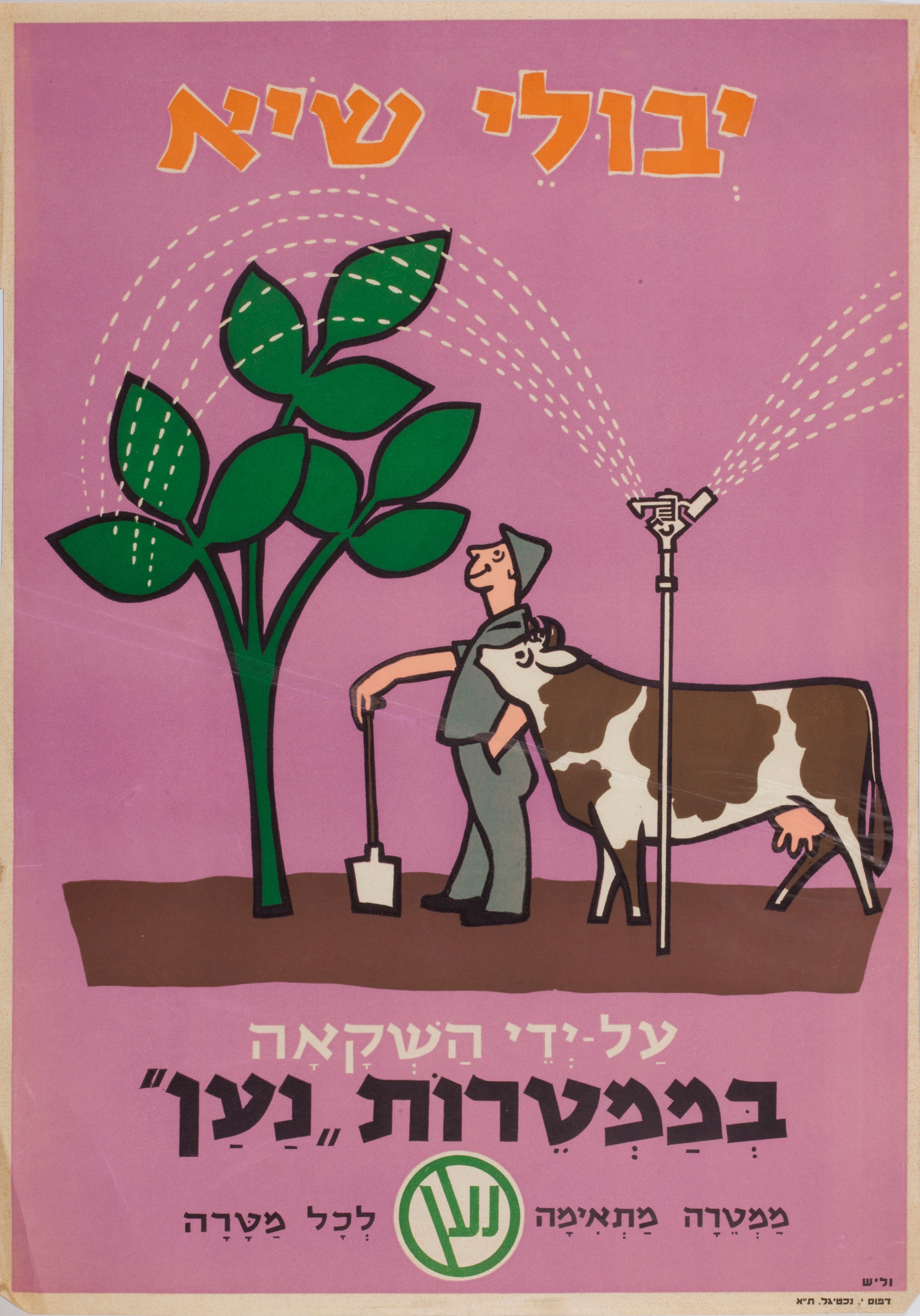 יבולי שיא על ידי השקאה בממטרות נען