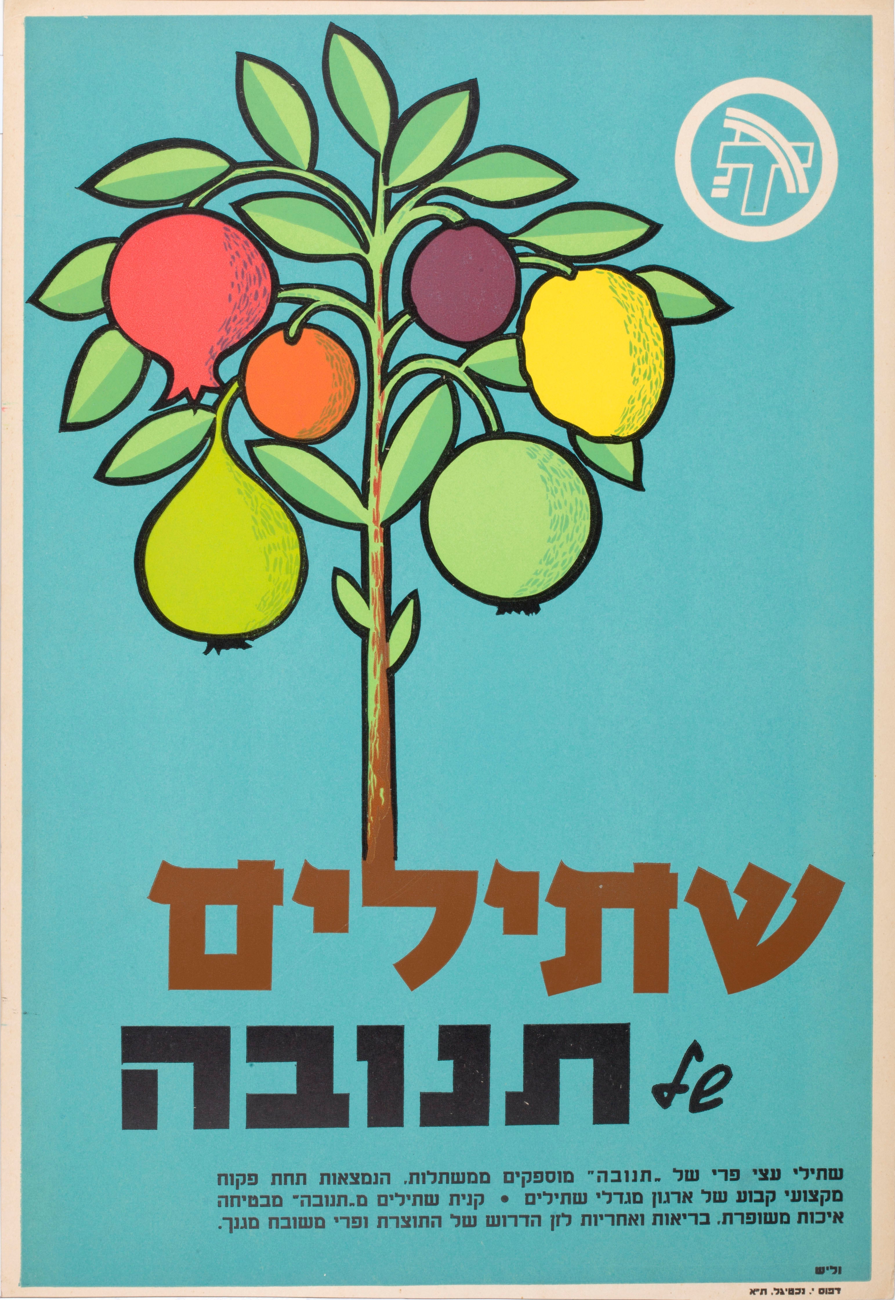 שתילים של תנובה