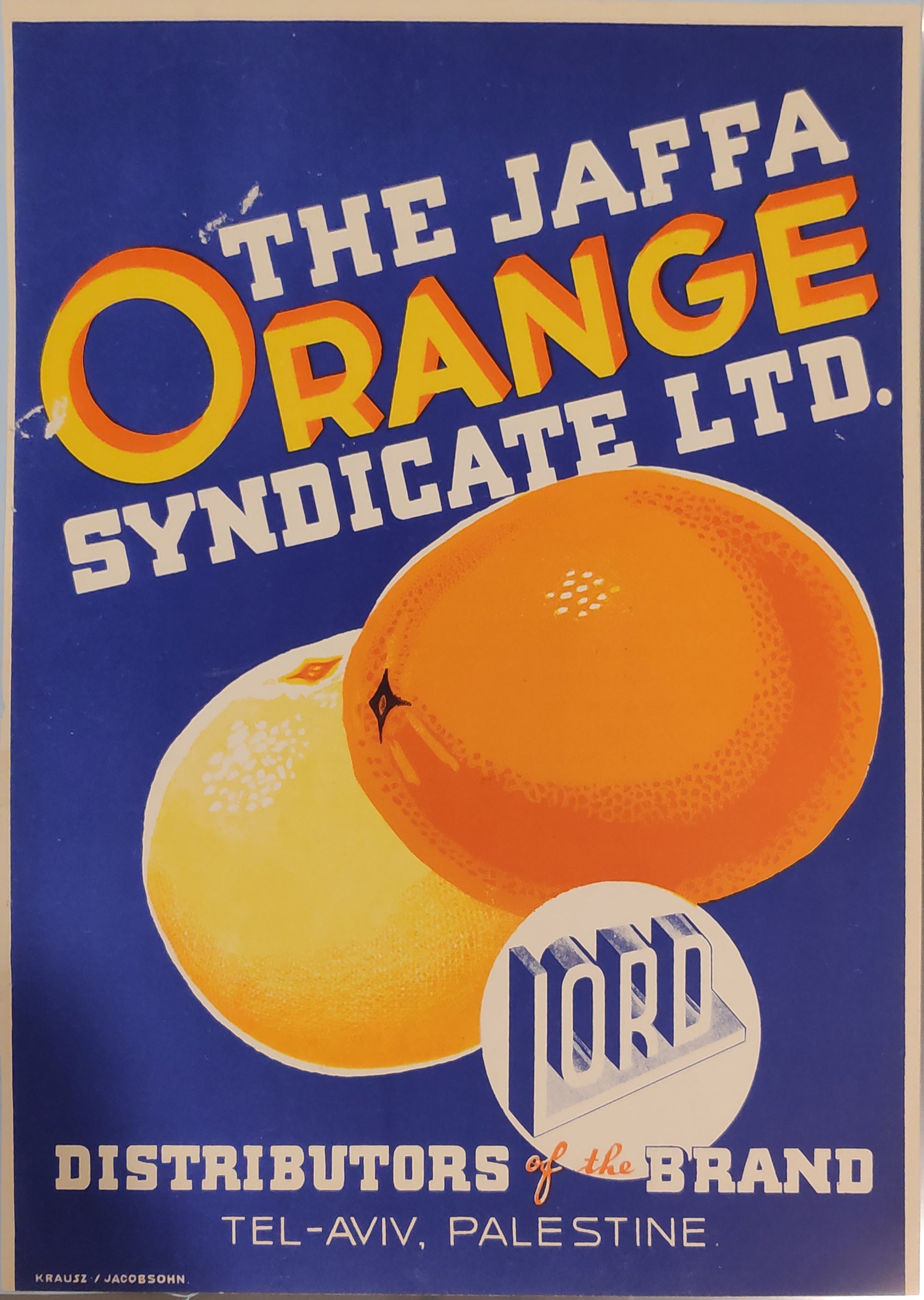 The Jaffa Orange Syndicate LTD