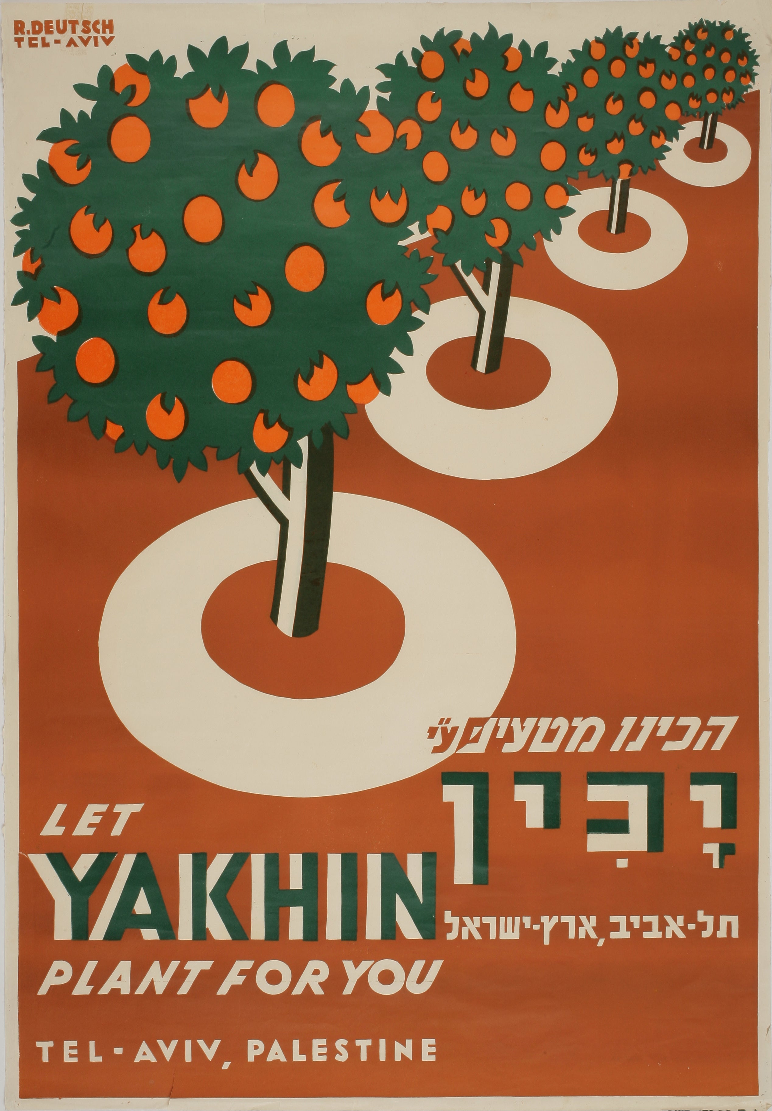 הכינו מטעים ע"י יכין תל אביב ארץ ישראל Let Yakhin plant for you
