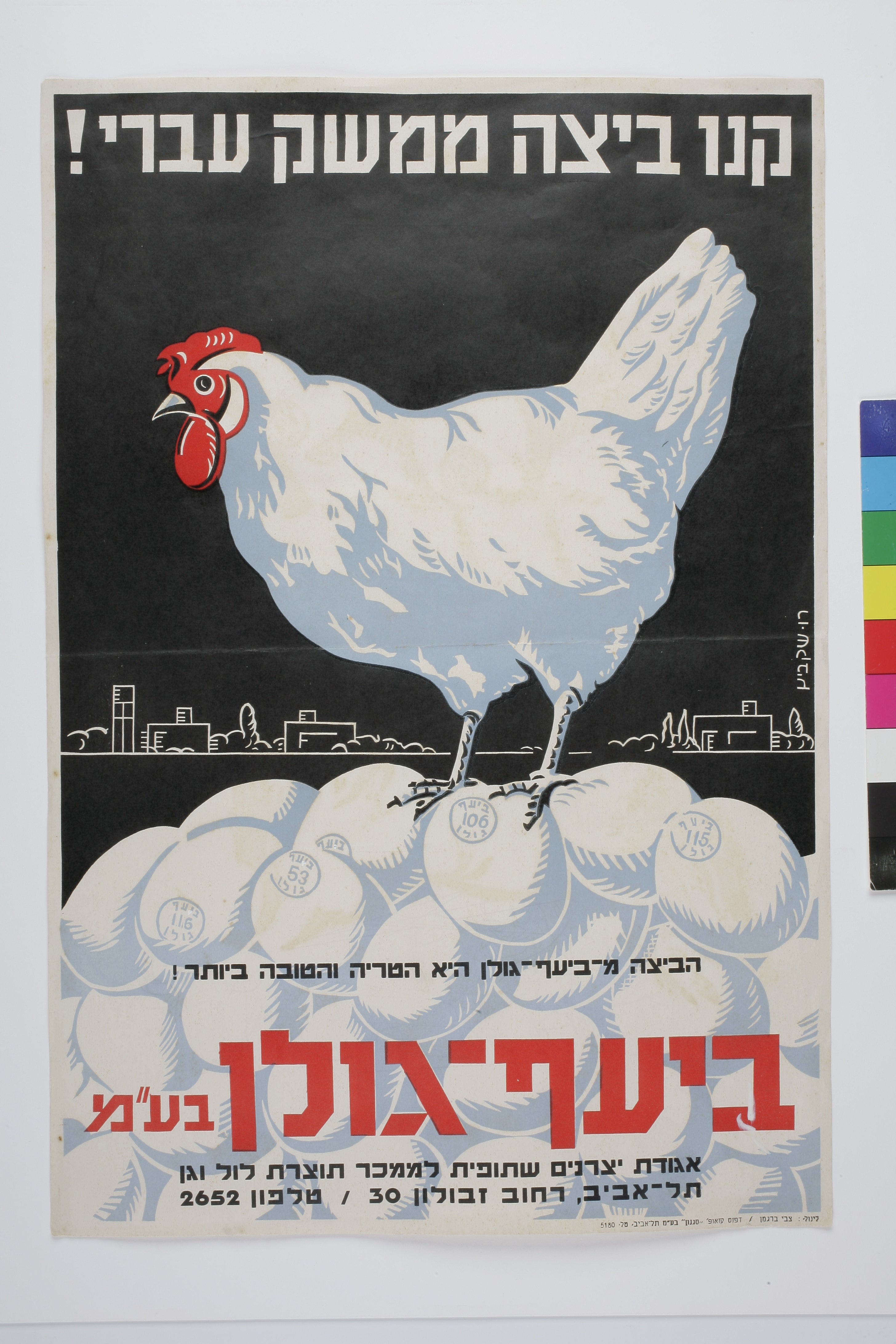 קנו ביצה ממשק עברי!