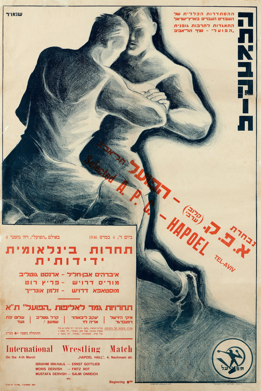 דוד שניאור