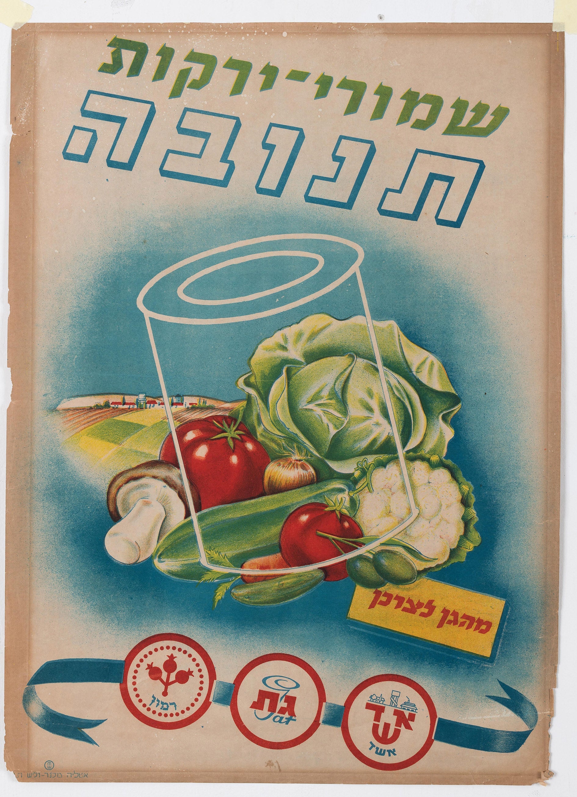 שמורי ירקות תנובה