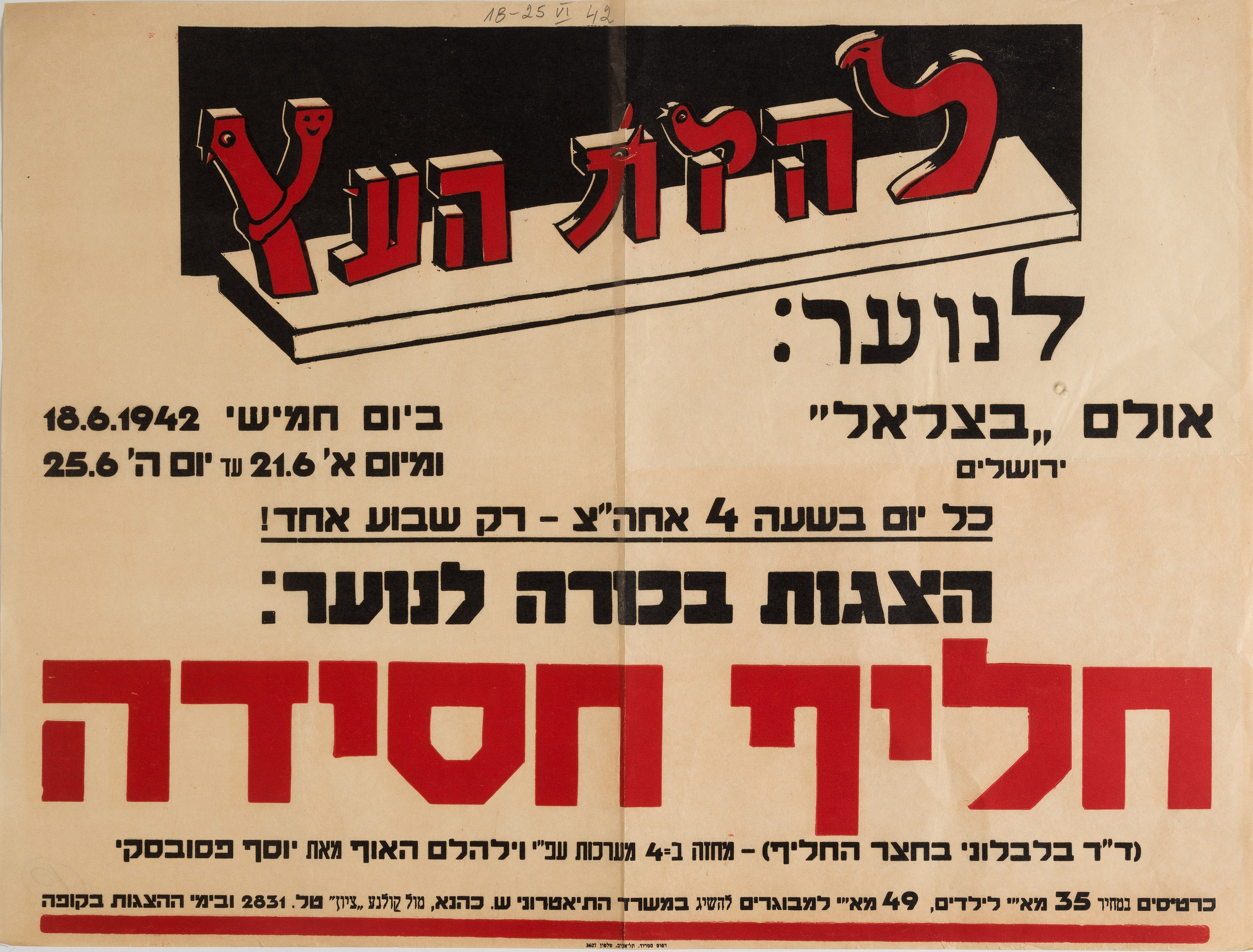 חליף חסידה